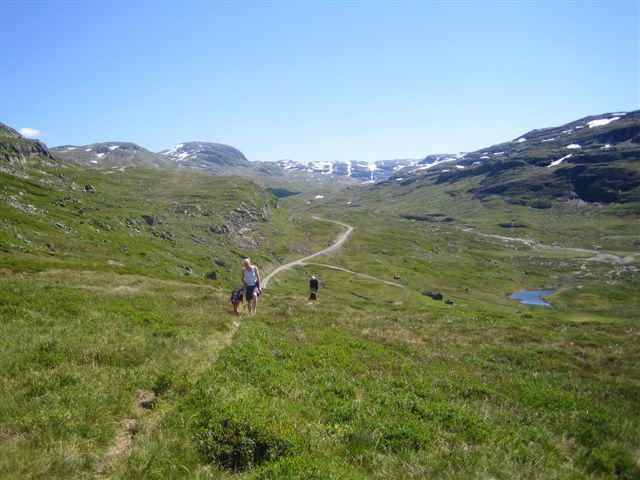 Villa Seim Camping - Røldal Extérieur photo