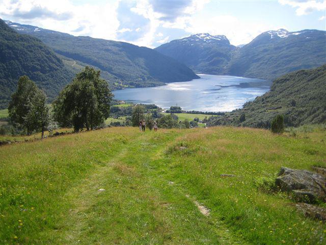 Villa Seim Camping - Røldal Extérieur photo